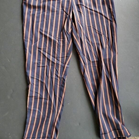 Zara Striped High Waisted Pants - Picture 13 of 14